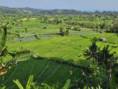 Bali - Tirta Gangga