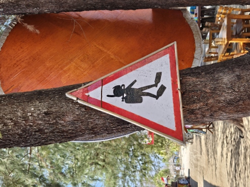 Gili Meno - Vorsicht Flossenfüßler unterwegs!