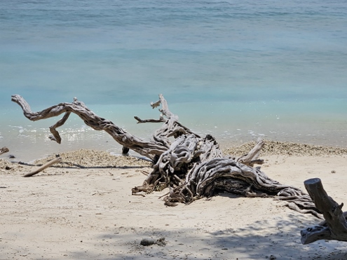 Gili Meno - Treibgut