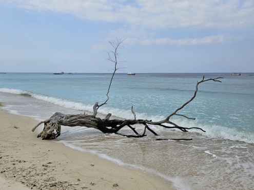 Gili Meno - Treibgut