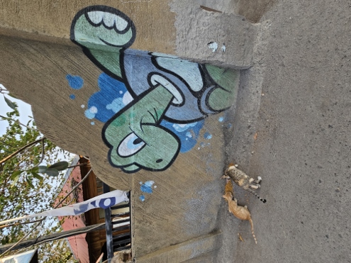 Gili Meno - Straßenkunst