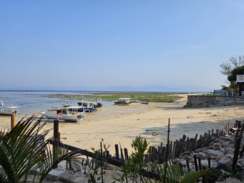 Nusa Lembongan - Sea Weed Fields