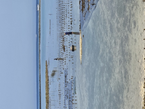 Nusa Lembongan - Sea Weed Fields