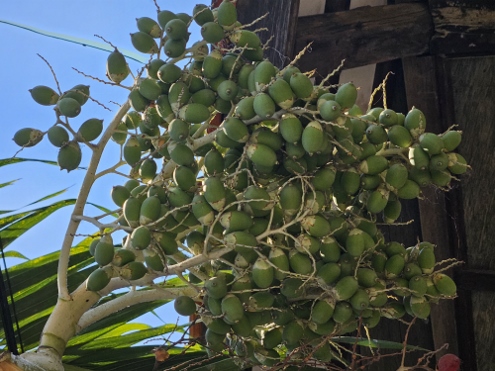 Nusa Lembongan - Innenansichten