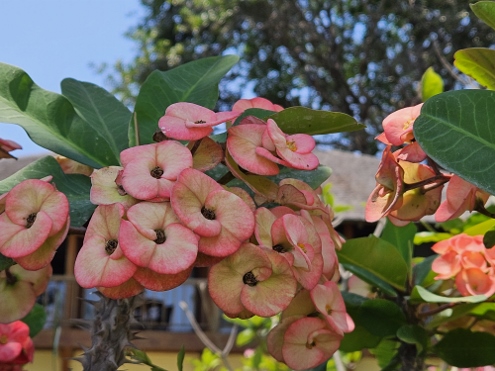 Bali - am Strand von Sanur