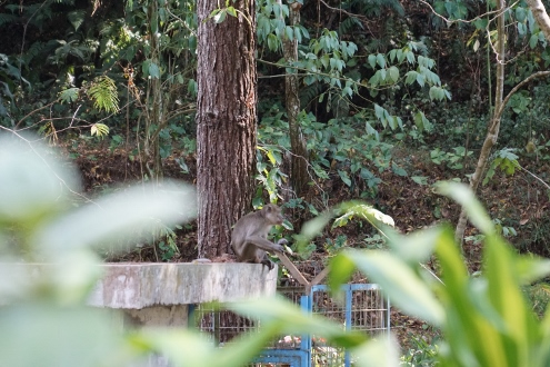 Maribaya Hot Spring Resort