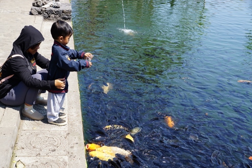 Bali - Tirta Gangga - Raubtierfütterung