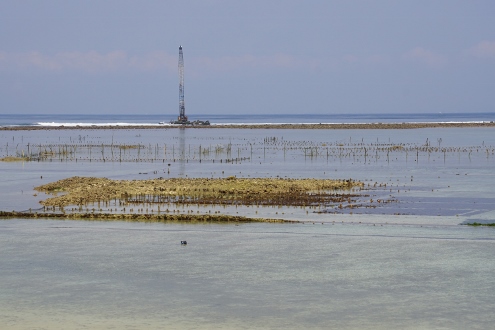 Nusa Lembongan - Sea Weed Fields