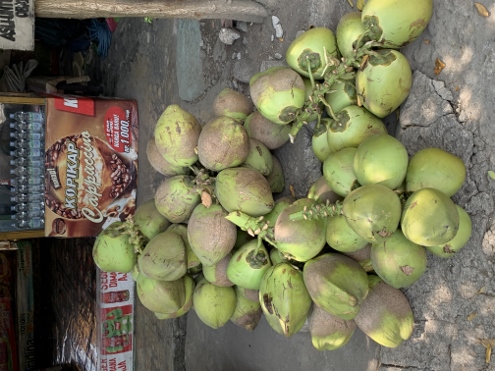 Von Bogor nach Bandung - Pause am Straßenrand