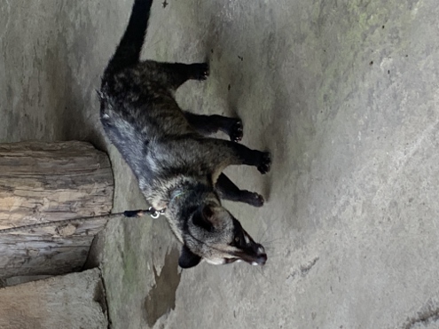 Kaffee, Tee und andere Leckereien