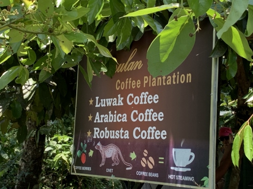 Kaffee, Tee und andere Leckereien