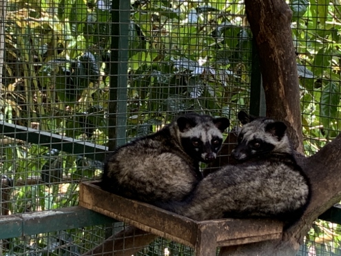 Kaffee, Tee und andere Leckereien