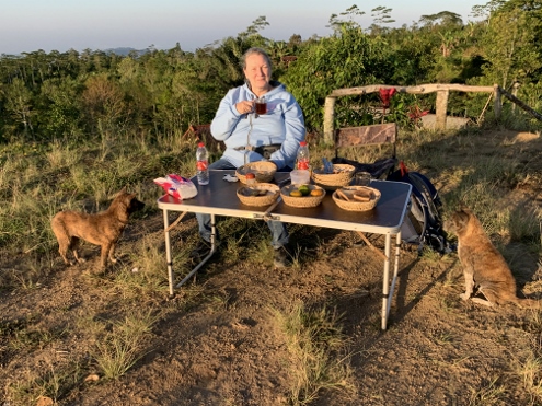 Frühstück mit wilden Hunden