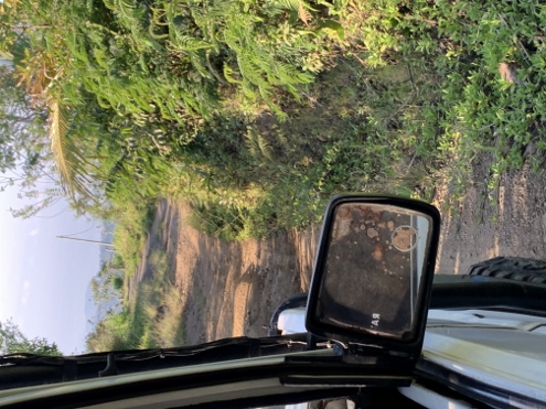 Bali - wilde Abfahrt vom Bukit Cemara