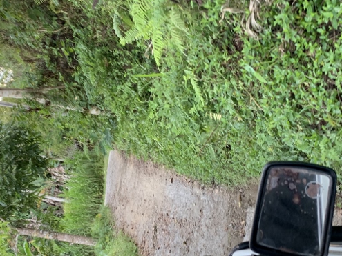 Bali - wilde Abfahrt vom Bukit Cemara