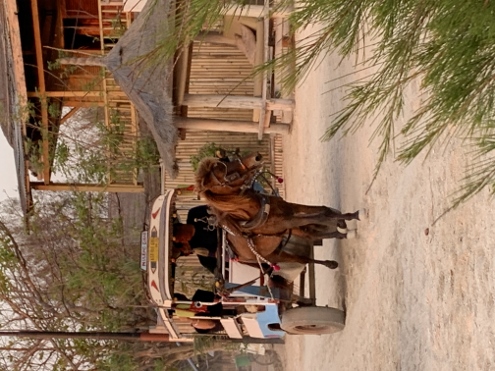 Gili Meno - Eiltransport