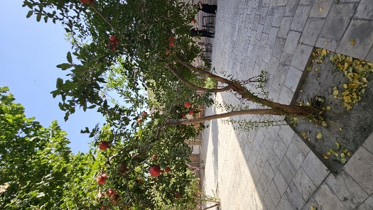 Palast des Khudayar Khan in Kokand