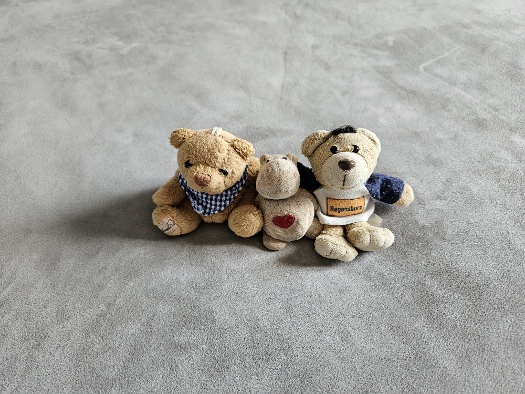 Reisebegleiter und Ratgeber in jeder Situation