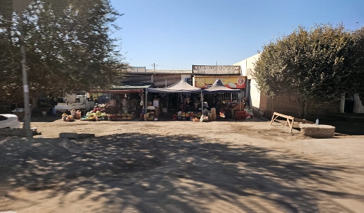 Landpartie nach Buchara