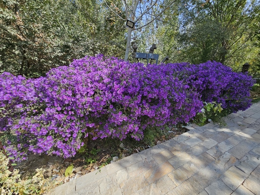 Spaziergang durch`s Gemüse