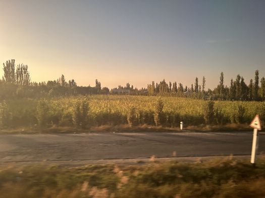 Zurück nach Taschkent - mit dem Zug durch die Berge