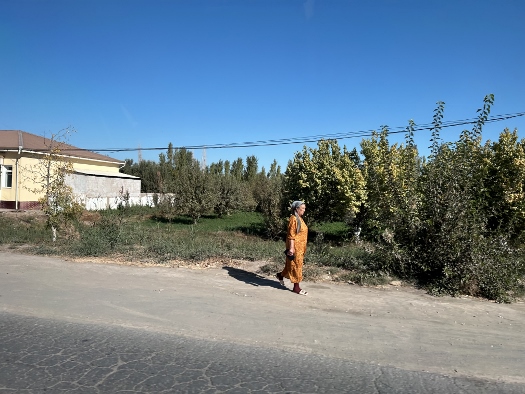 Landpartie nach Buchara