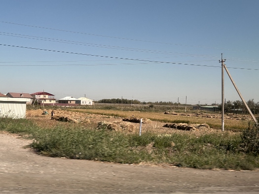 Landpartie nach Buchara