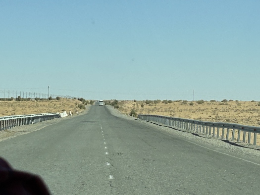 Highway durch die Wüste Kyzylkum