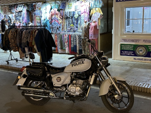 Gut bewacht in der Nacht