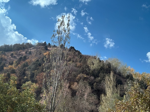 Wilde Bergwelt - Hissargebirge