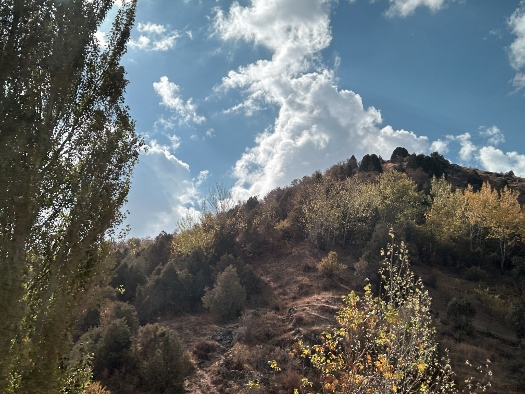 Wilde Bergwelt - Hissargebirge