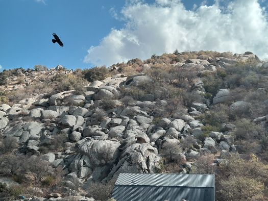 Wilde Bergwelt - Hissargebirge