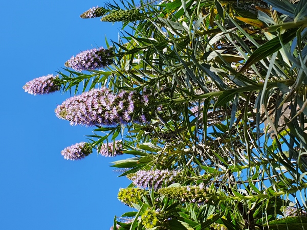 Pueblo Espa&ntilde;ol - das spanische Dorf