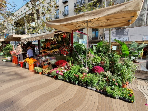 Barcelona im Oktober - Kunst und andere Dinge