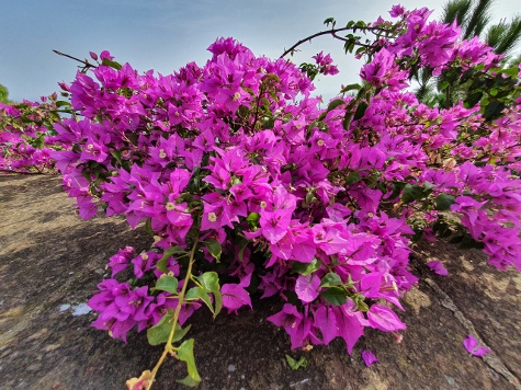 Barcelona im Oktober - auf dem Gipfel des Montjuïc