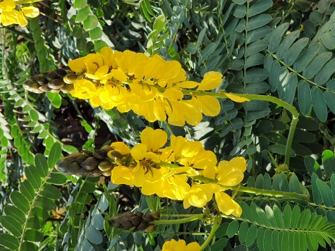 Barcelona im Oktober - Kunst und andere Dinge