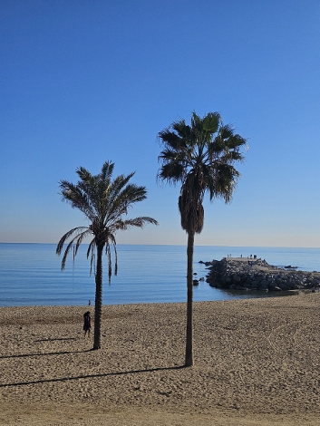 Platja de la Barceloneta