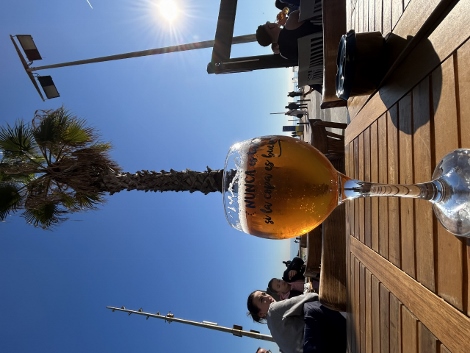 Platja de la Barceloneta