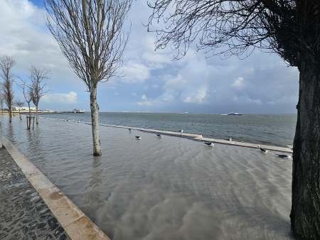 Es regnet ein bisschen... sehr.