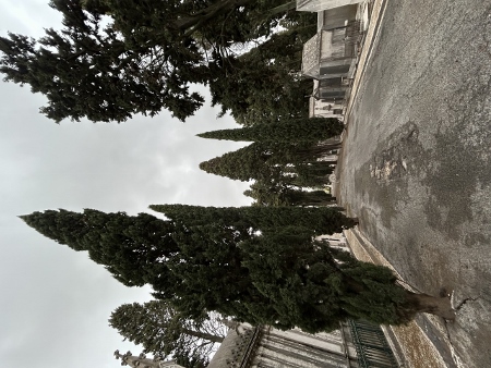 Cemitério dos Pratzeres