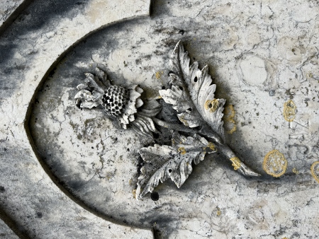 Cemitério dos Pratzeres - Stone Flowers