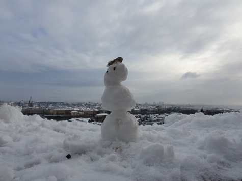 Schneemann mit Überblick