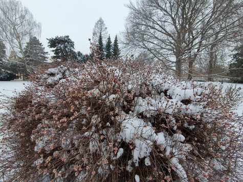 Winterspaziergang im Schatten der Burg