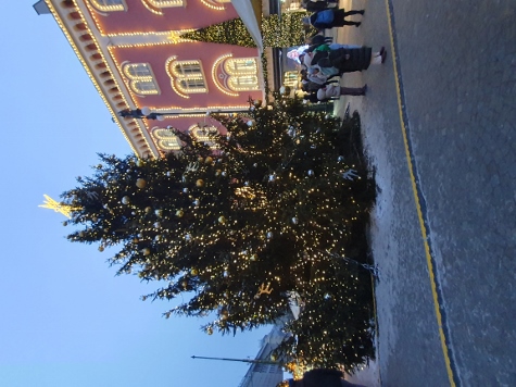Weihnachtsbaum am Platz der Republik (Náměstí Republiky)