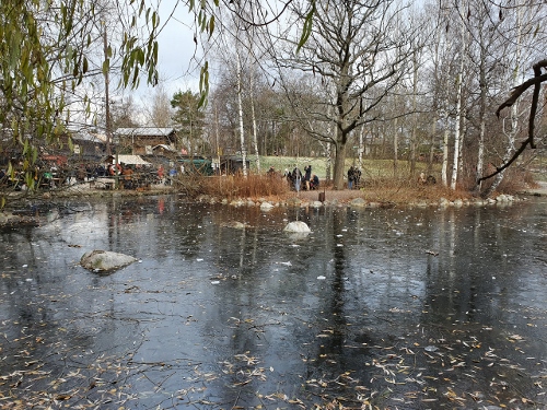 Freizeitpark Skansen - Tierpark