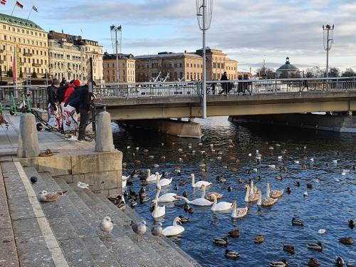 Stockholm - Stadt im Wasser