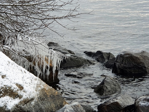 Djurgarden - Waldemarsudde