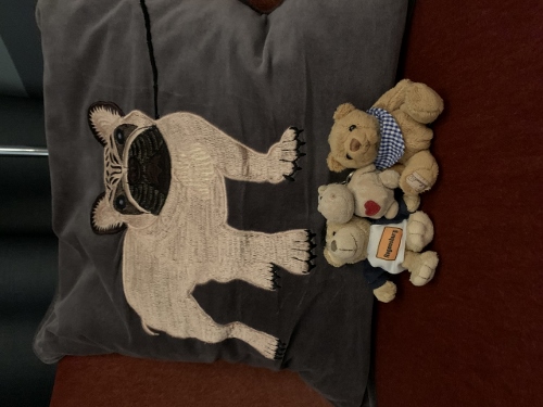 Hotel Hasselbacken - kleine Reisebegleiter