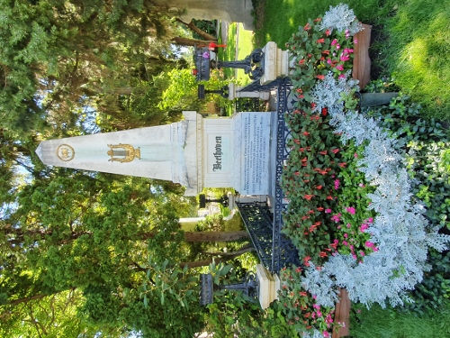 Wien 2021 - Zentralfriedhof