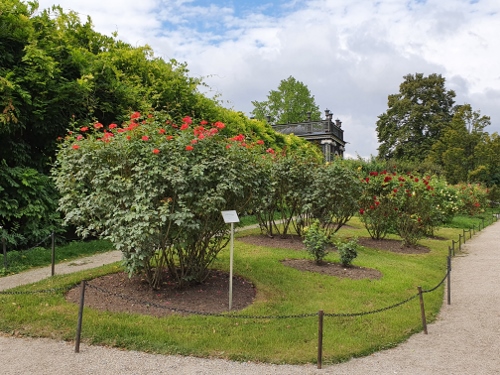 Wien 2021 - Schloß Schönbrunn
